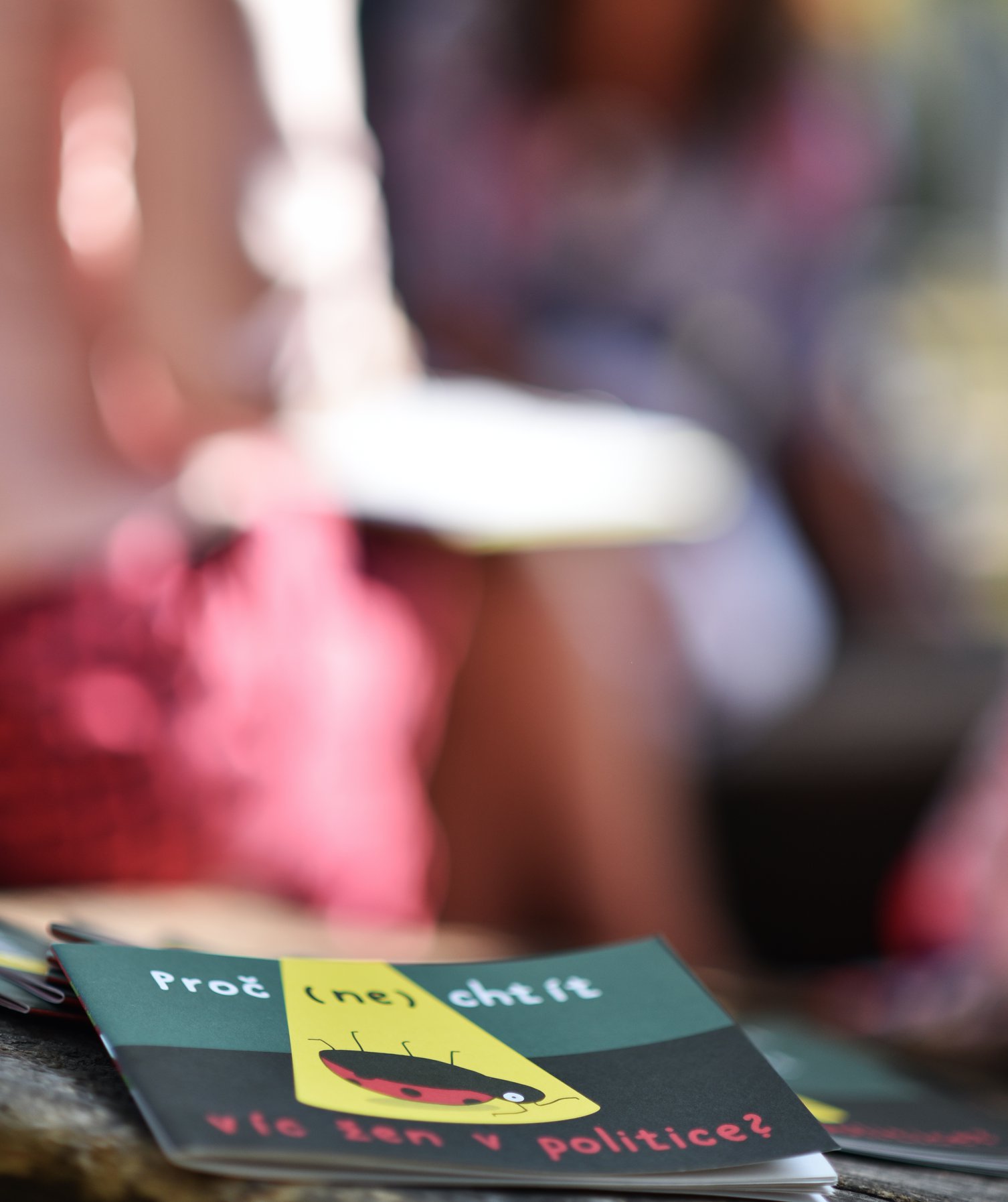 Ženy v politice a veřejném životě Ústeckého kraje — foto 10